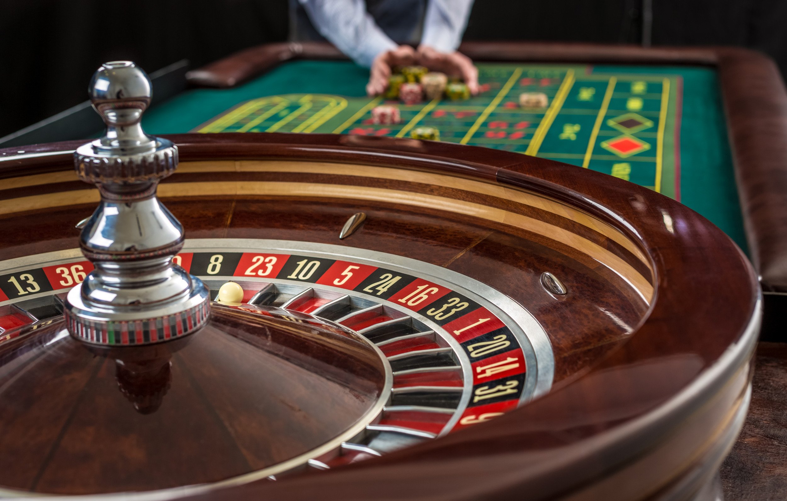 559bet app