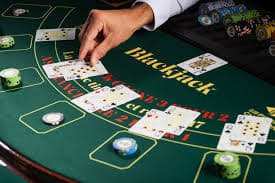 559bet app